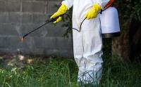 Pest Control Eagleby image 2